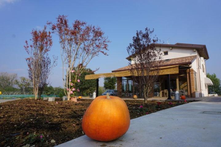 Agriturismo Campogrande Carpaneto Piacentino Bagian luar foto